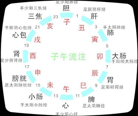 經絡時辰對照|人體經絡十二時辰對照表，選對時間，經絡養生事半功。